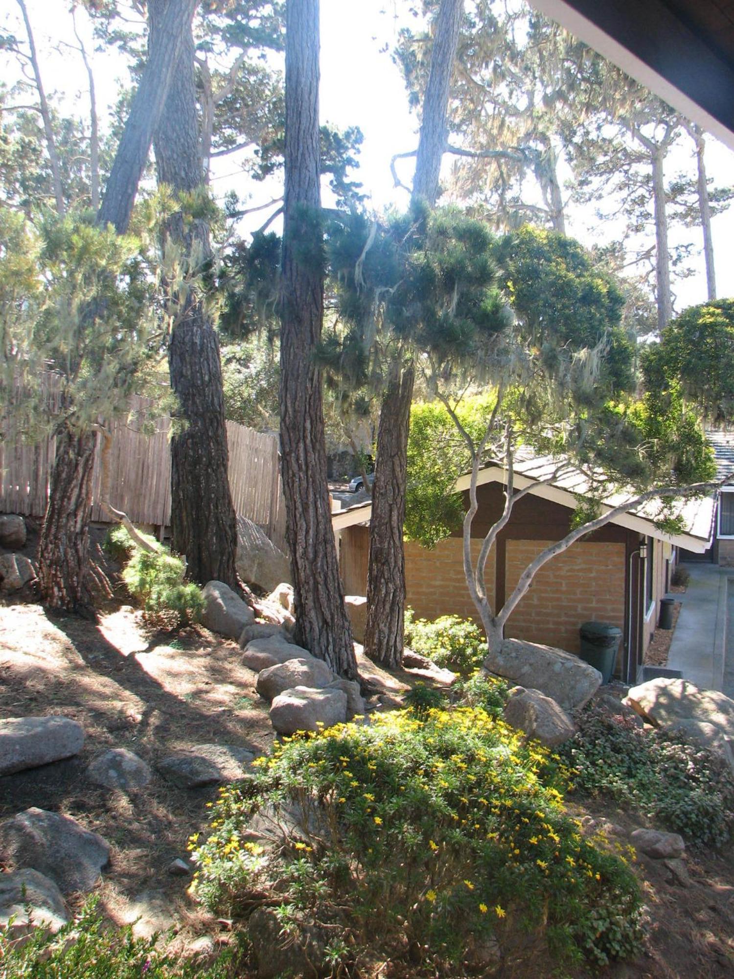 Lighthouse Lodge & Cottages Pacific Grove Luaran gambar