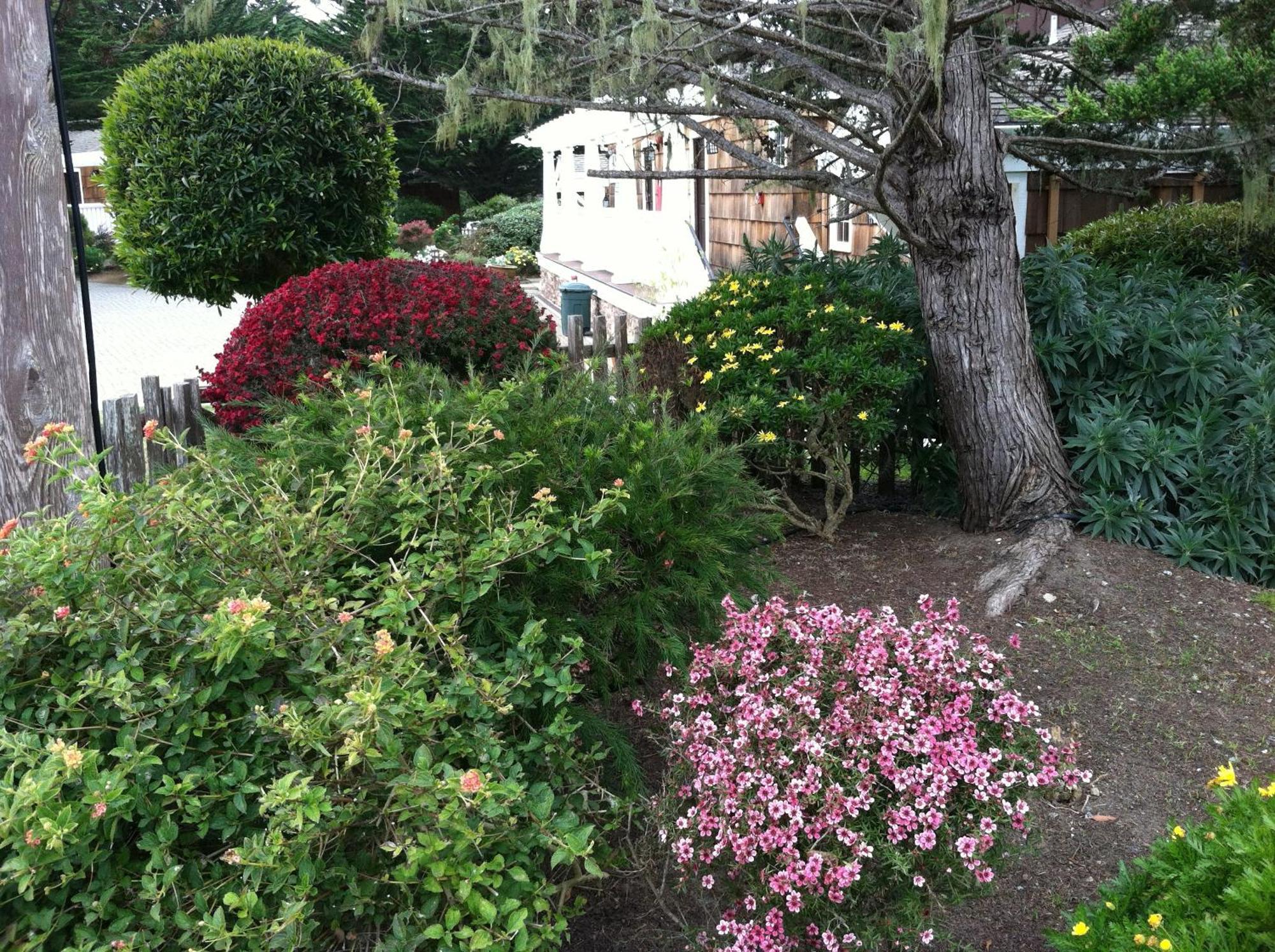 Lighthouse Lodge & Cottages Pacific Grove Luaran gambar